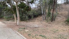 Enlarge photo 52