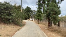 Enlarge photo 53