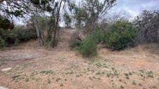 Enlarge photo 54