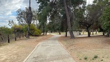 Enlarge photo 56