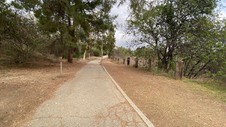 Enlarge photo 59