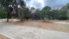 Enlarge photo 61