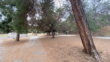 Enlarge photo 62