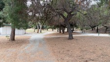 Enlarge photo 63