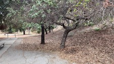 Enlarge photo 65