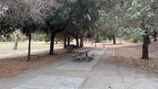 Enlarge photo 66