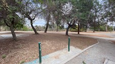 Enlarge photo 69