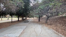 Enlarge photo 71