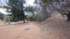 Enlarge photo 72