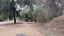Enlarge photo 73