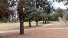 Enlarge photo 75