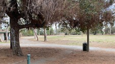 Enlarge photo 76