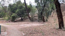 Enlarge photo 78