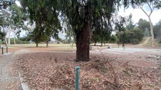 Enlarge photo 81