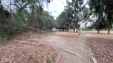 Enlarge photo 82
