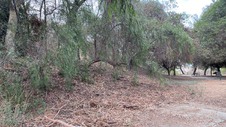 Enlarge photo 83