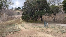 Enlarge photo 84