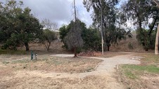 Enlarge photo 86