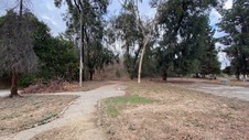 Enlarge photo 87