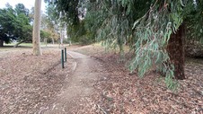 Enlarge photo 88