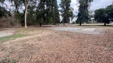 Enlarge photo 90