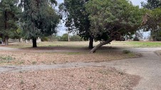Enlarge photo 92