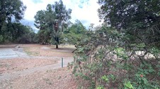 Enlarge photo 95