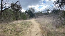 Enlarge photo 97