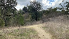 Enlarge photo 98