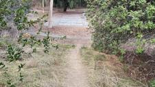 Enlarge photo 99
