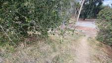 Enlarge photo 101