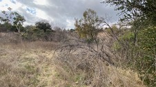 Enlarge photo 102