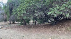 Enlarge photo 103