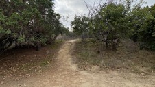 Enlarge photo 104