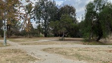 Enlarge photo 106