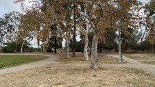 Enlarge photo 107
