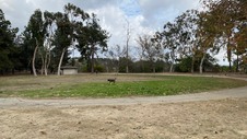 Enlarge photo 108