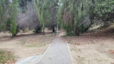 Enlarge photo 109