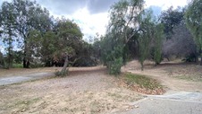 Enlarge photo 111