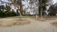 Enlarge photo 113