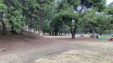 Enlarge photo 115