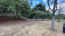 Enlarge photo 116