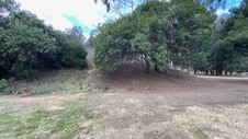 Enlarge photo 117