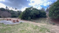 Enlarge photo 118
