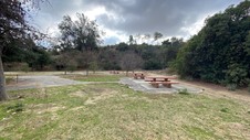 Enlarge photo 119