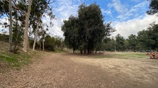 Enlarge photo 120