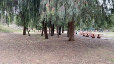 Enlarge photo 121