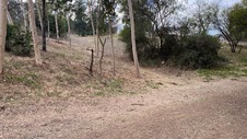 Enlarge photo 123