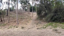 Enlarge photo 124