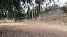 Enlarge photo 125